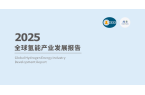 2025全球氢能产业发展报告